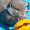 サンシャイン水族館（3月3日）