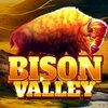 Bison Valley Slot Game Review: Uncover the Wild Adventure