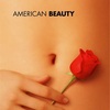 #038 American Beauty