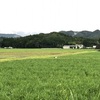 SSK (Sunny-Side of Kyoto)（+487/852）
