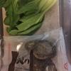 Baby Bok Choy and Dried Shiitake Mushroom a la Chinoise