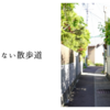 目的地のない散歩道