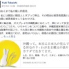 ウヨ「沖縄ってほんとに日本人の住んでいるところなの？」