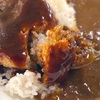 みんな大好きハンバーグ×カレーの王道感！すき家の「デミバーグカレー」の巻