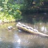 『おとめ山公園へ行く』