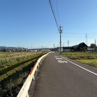 ひと足早く週末