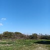 幸せについて雑感を語る