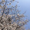 娘が、初めての入院へ。