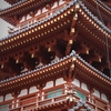 【奈良】薬師寺の美しさに驚いた