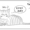 猫に好かれる条件