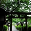 大神神社写真館(８/１２)