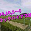2024,10,5～6 トラックバイアス結果 (東京競馬場、京都競馬場、新潟競馬場)