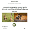 リカオンの保護団体｜Range Wide Conservation Program for Cheetah & African Wild Dogs