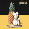 斉藤和義 の新アルバム PINEAPPLE 歌詞