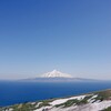 今年もここで