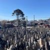 夫の嫁　夫の胃腸