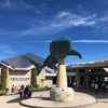 「沖縄美ら海水族館」の攻略法！混雑を回避してゆっくり楽しむ裏ワザ