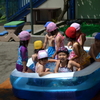 小羊組（夏休み）