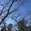 「副科ピアノ」から聴こえてくるもの