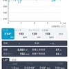 4キロペース走　2月23日