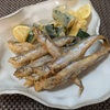 最近のおつまみあれこれ、簡単な魚料理もいろいろ食べています！