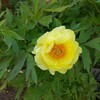 せっせと手織り