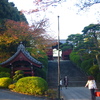 秋・大本山護国寺