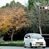 冬日の平和公園を歩く