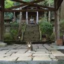 運命鑑定師の本音。