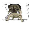 瞑想を打ち破れ