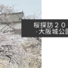 桜探訪２０２３・大阪城公園編