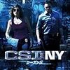 　CSI:NY5コンプリートDVD BOX-II