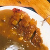 それでもカレーが好きなんだ！！！