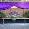 新宿御苑の菊花壇展