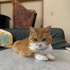 クルミの日常生活