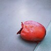 さがさなくても