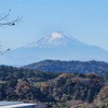久しぶりの天園TRAILで後半昇天