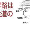 じじぃの「いつか罹る病気・老人性（誤嚥性・胃食道逆流）肺炎！週刊新潮」