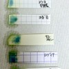 よく使うノートの紙が中性紙かBTB溶液でざっくりと調べる。