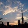 三月の夕日