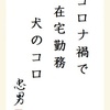 コロナ禍で 在宅勤務 犬のコロ