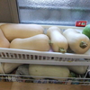 夏野菜の収穫（その３）