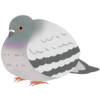 鳩のフリーイラスト素材