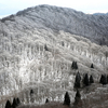 【登山】山頂付近はなんとか雪 ～ 武奈ヶ岳＠滋賀県（２）2016.1.9