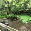 畏敬の念を抱きながら