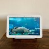 7/28まで！画面付きスマートスピーカー「Google Nest Hub」が2160円割引でお買い得♪