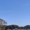 お客さんが来てくれた