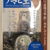 アマビエ　新潟起源説の謎