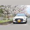 愛車のミニクーパーが可愛い。ついでに桜の写真も