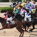 レッドアタックの競馬予想ブログ